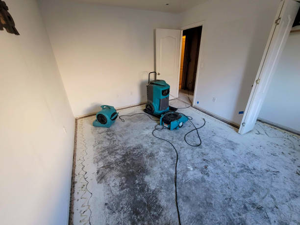 Best 24-hour water damage restoration  in Barnhart, MO