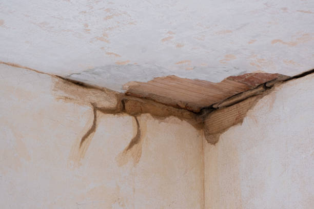 Best Residential water damage restoration  in Barnhart, MO