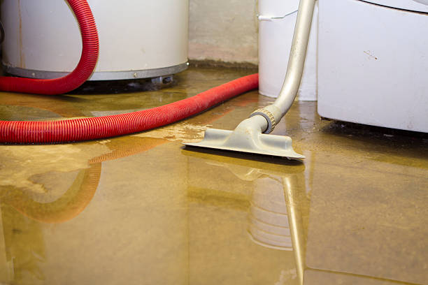 Best 24/7 water damage repair  in Barnhart, MO