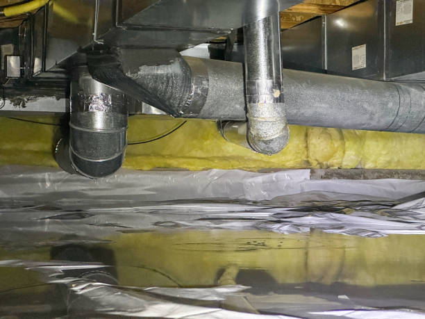 Best Professional water damage repair  in Barnhart, MO