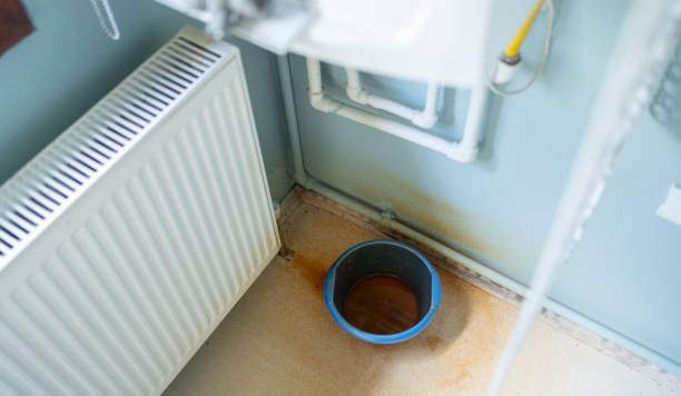 Best Water damage restoration services  in Barnhart, MO