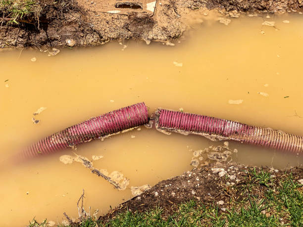 Best Sewage cleanup and water damage restoration  in Barnhart, MO