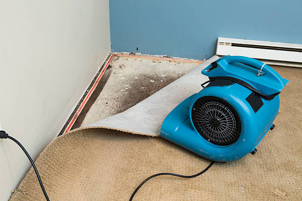 Best Water damage cleanup near me  in Barnhart, MO